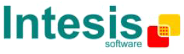 Логотип INTESIS